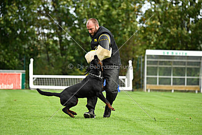 Quai von der Königskanzel