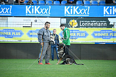 Quaint aus der Königshöhle