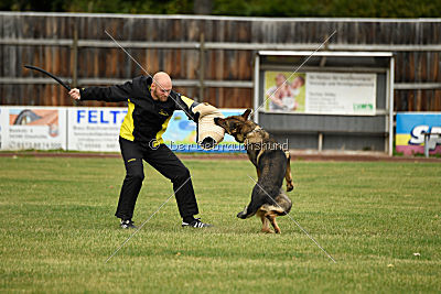 Quattro vom Wolfsdreieck