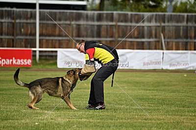 Quattro vom Wolfsdreieck