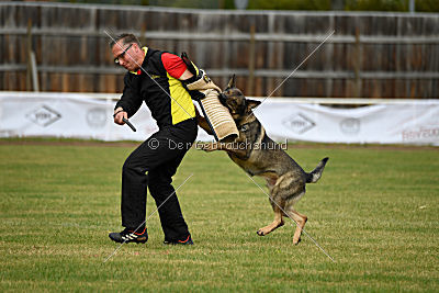 Quattro vom Wolfsdreieck