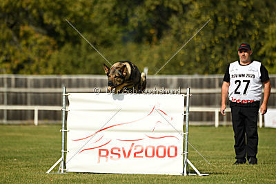 Quattro vom Wolfsdreieck