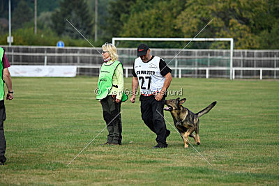 Quattro vom Wolfsdreieck