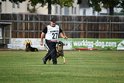 Quattro vom Wolfsdreieck