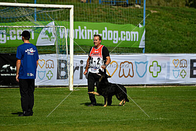 Quattro von der Daelenberghutte