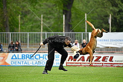 Quay von den kleinen Helden