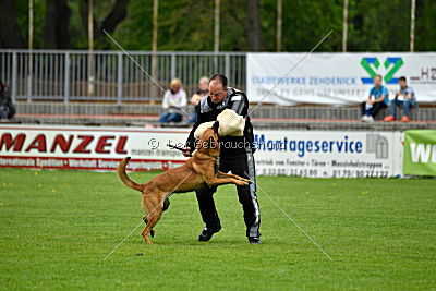 Quay von den kleinen Helden