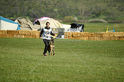 Quenn van de Berlex-Hoeve