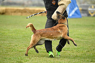 Quenn van de Berlex-Hoeve
