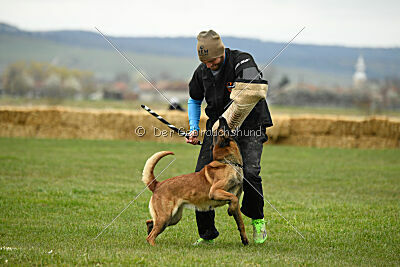 Quenn van de Berlex-Hoeve