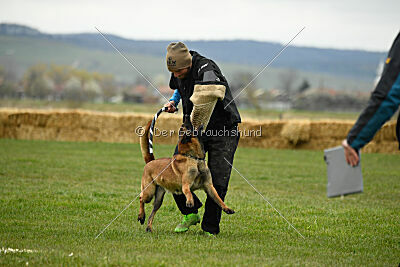 Quenn van de Berlex-Hoeve