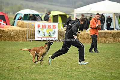 Quenn van de Berlex-Hoeve