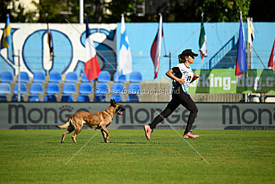 Quenn van de Berlex-Hoeve