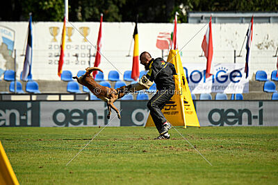 Quenn van de Berlex-Hoeve