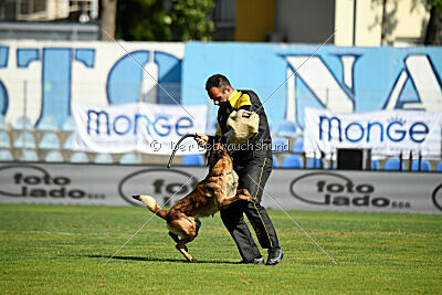 Quenn van de Berlex-Hoeve