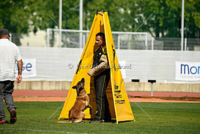 Quenn van de Berlex-Hoeve