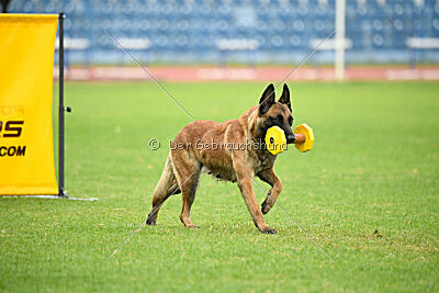 Quenn van de Berlex-Hoeve