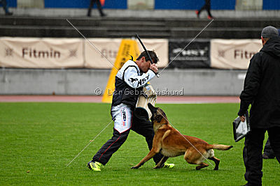 Quick vom Holzhäuser Flur