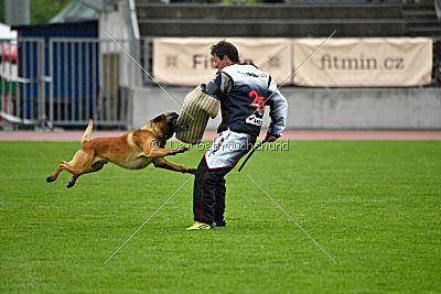 Quick vom Holzhäuser Flur