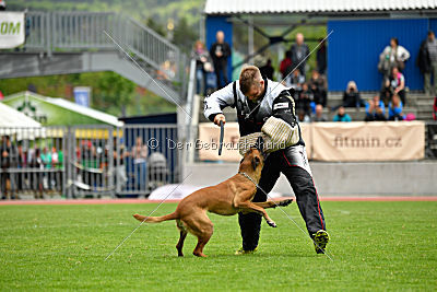 Quick vom Holzhäuser Flur