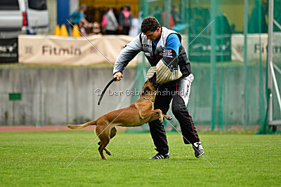 Quick vom Holzhäuser Flur