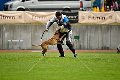 Quick vom Holzhäuser Flur