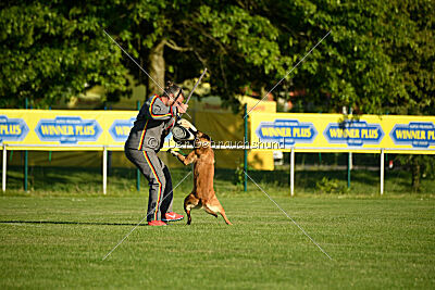 Quina dei Bonaccorso