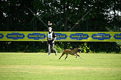 Quina dei Bonaccorso