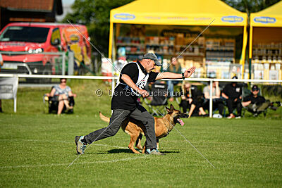 Quina dei Bonaccorso