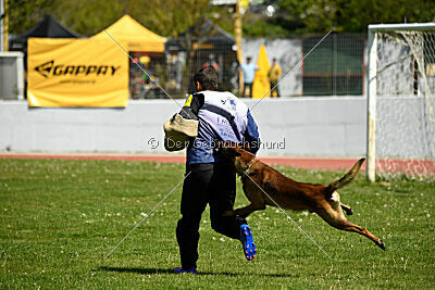 Quintus van de Meulenbarg