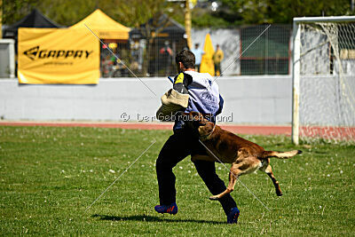 Quintus van de Meulenbarg