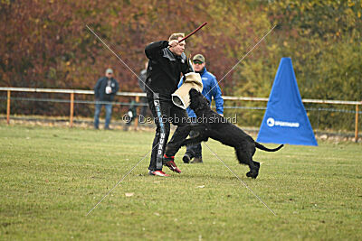 Qypz'Åvs Skallkrossare