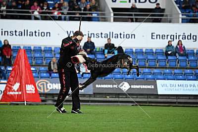 Racker vom Waisagrund