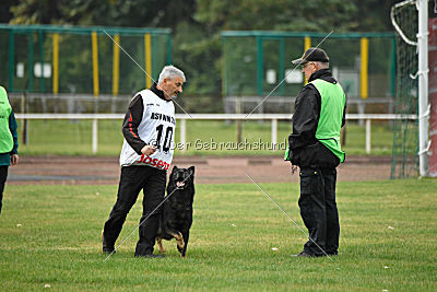 Radetzky del Camino Duro