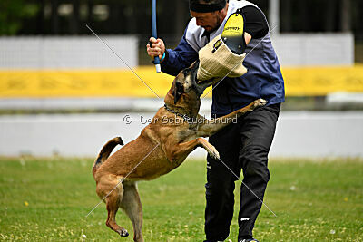 Ramona de Alphaville Bohemia