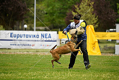 Ramona de Alphaville Bohemia