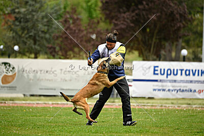 Ramona de Alphaville Bohemia