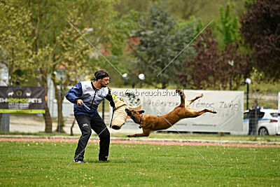 Ramona de Alphaville Bohemia