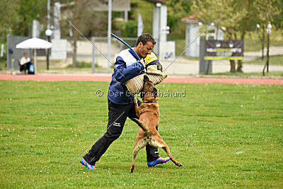 Ramona de Alphaville Bohemia