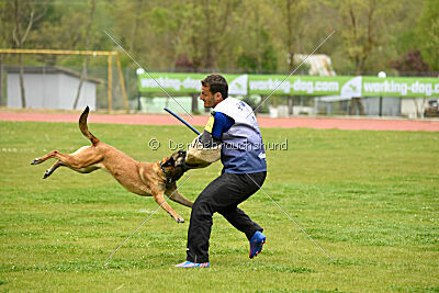Ramona de Alphaville Bohemia
