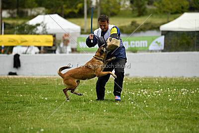Ramona de Alphaville Bohemia