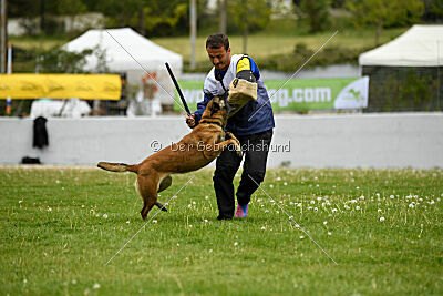 Ramona de Alphaville Bohemia