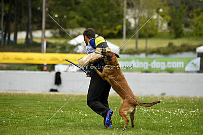 Ramona de Alphaville Bohemia