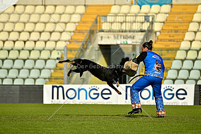 Ramses von Brand Schwanen