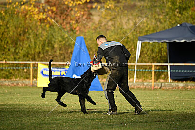 Ran-Tan-Plan von Elberfeld