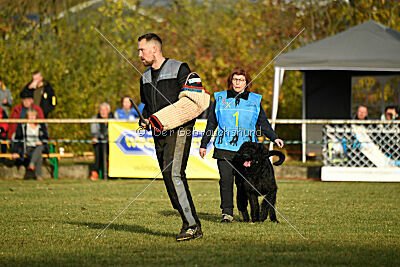 Ran-Tan-Plan von Elberfeld