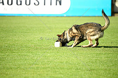 Rebel z Berounske basty