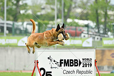 Rechtsanwalt von der Steinteichmühle