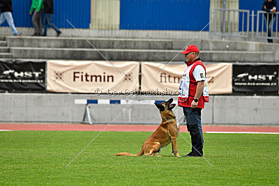 Rechtsanwalt von der Steinteichmühle