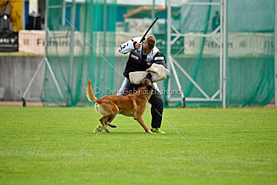 Rechtsanwalt von der Steinteichmühle